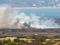 Click to view image Large heath fire near Littlesea Studland