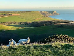 Click to view image Looking across Chapmans Pool from Swyre Head