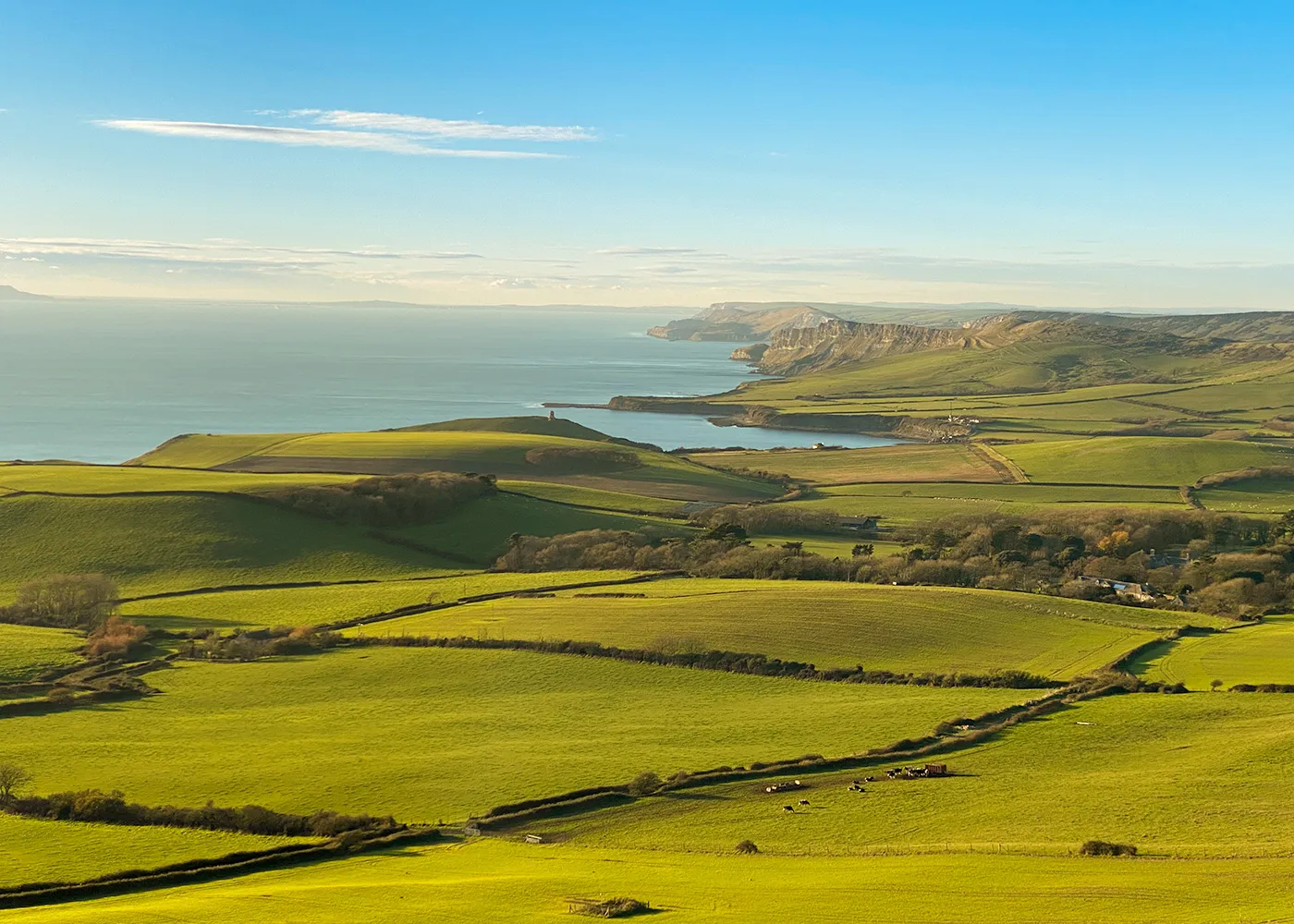 Swanage and Purbeck Gallery