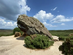 Click to view image Agglestone Rock on Godlingston Heath