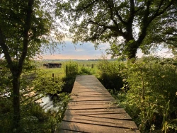 A warm evening at Bog Lane Greenspace - Ref: VS2410