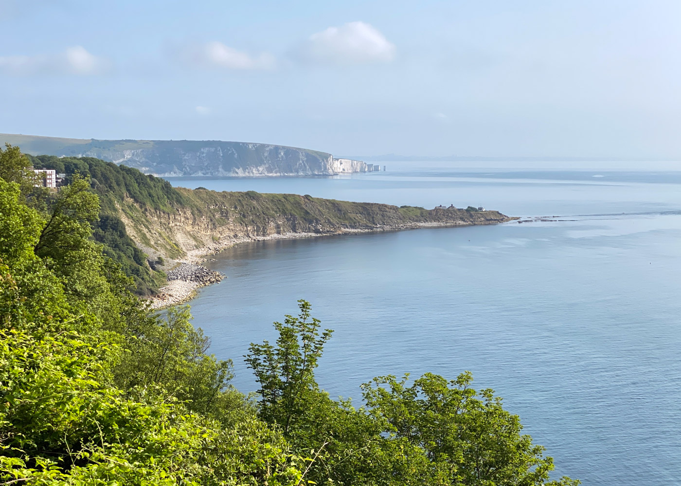 Click to view image Looking across Durlston Bay to Peveril Point