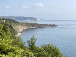 Click to view image Looking across Durlston Bay to Peveril Point