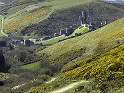 Click to view image Corfe Castle and Purbeck Hills