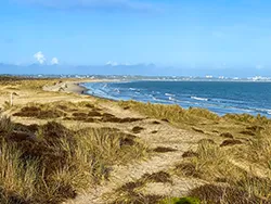Winter Sand Dunes and Studland Beach in the Virtual Swanage Gallery