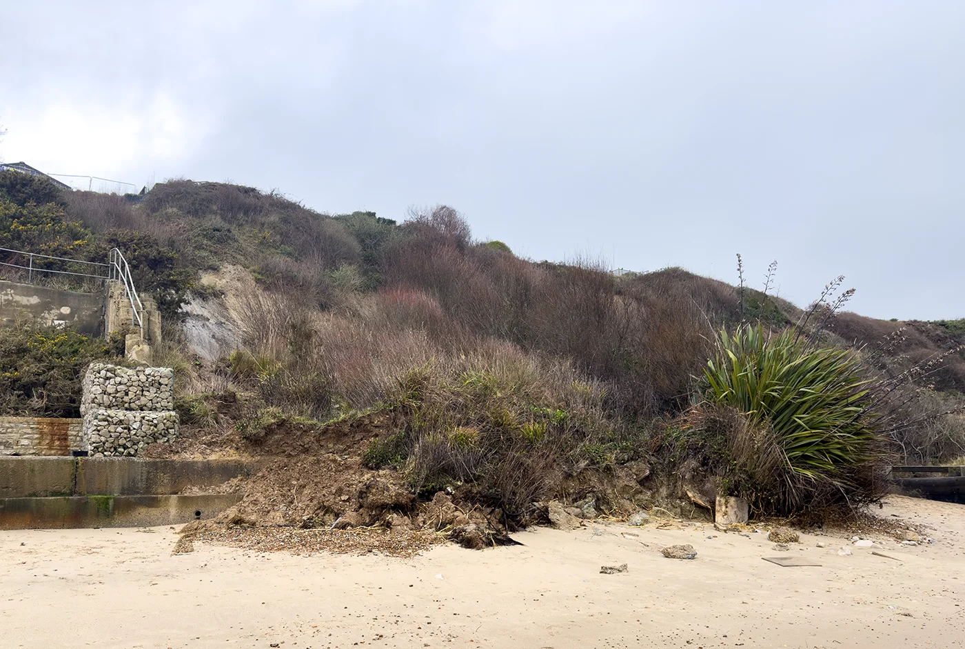 Swanage and Purbeck Gallery