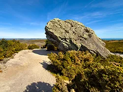 Click to view image Agglestone rock in the spring on Studland Heath