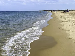 Studland Beach from the ferry in July - Ref: VS2644