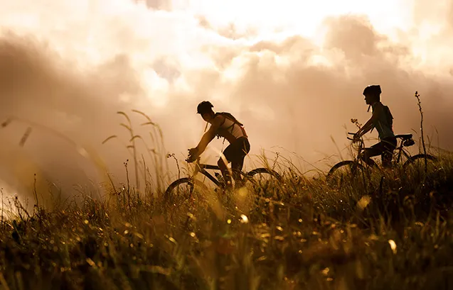 Sports and Activities