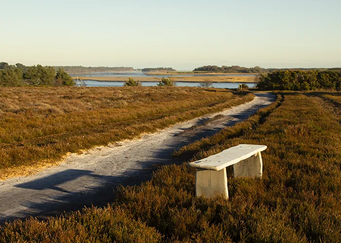 Walking the trails at Arne