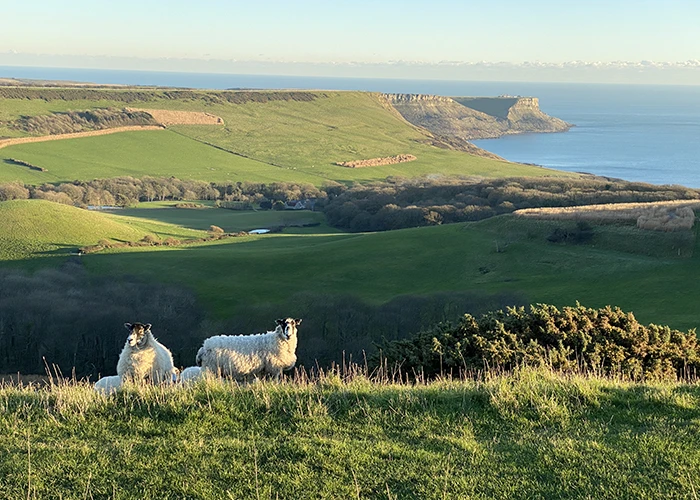 Smedmore, Encombe & Creech Grange, still in family hands
