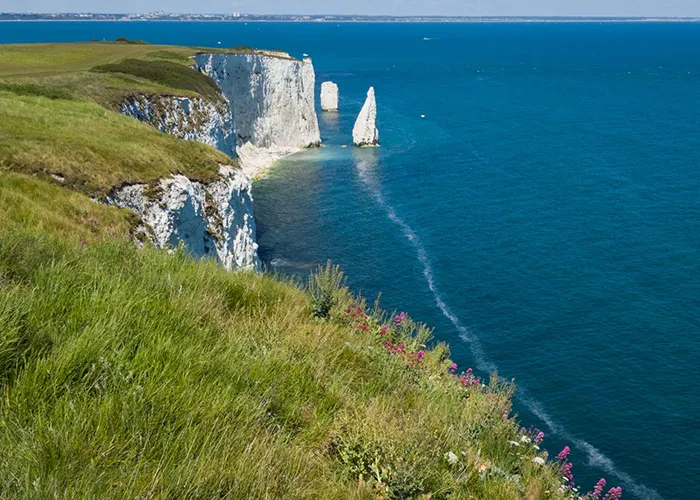 Purbeck Cliffs and paths