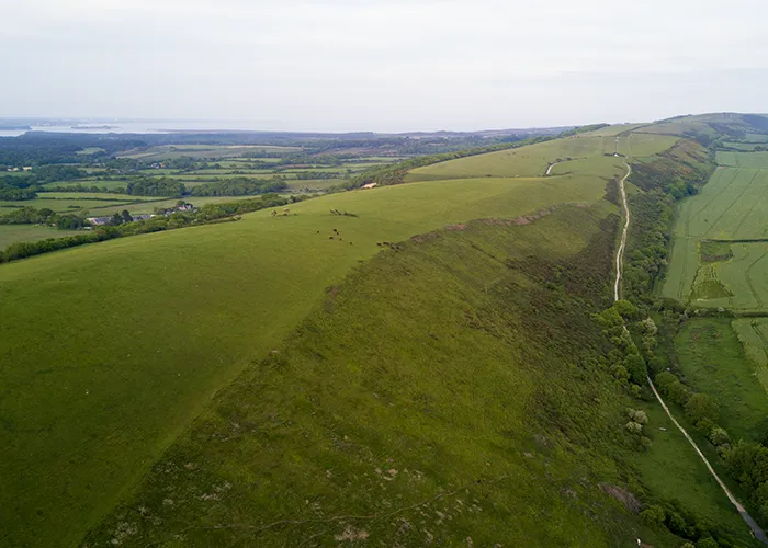 Purbeck Hills
