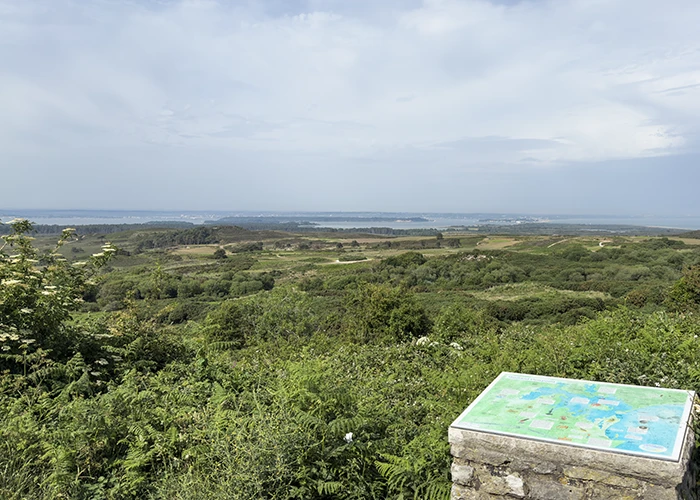 Heathland and Poole Harbour