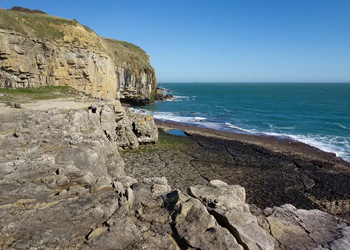 Southern coast of Purbeck