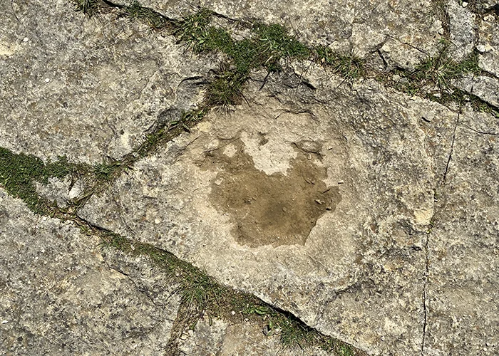 Footprint in the stone