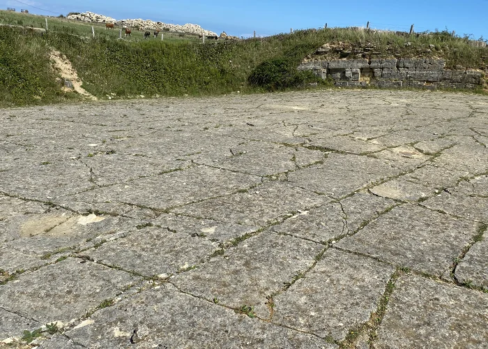 Laid down in a tropical lagoon 145 million years ago, Purbeck Group rocks