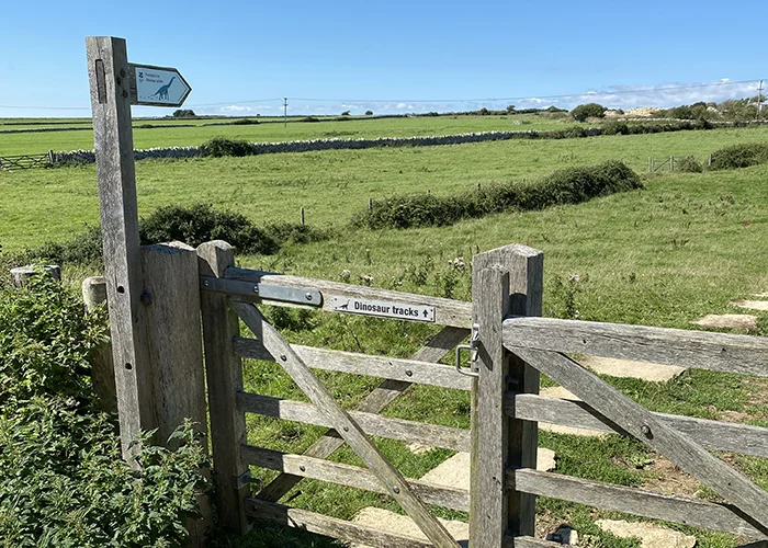 Entrance gate
