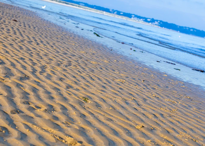 Sandy Beach at Studland