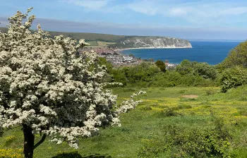 Townsend Nature Reserve