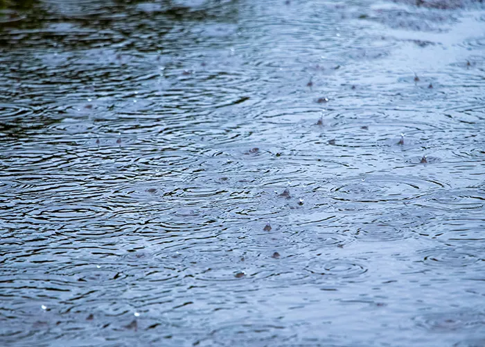 Rainy Day Activities photo