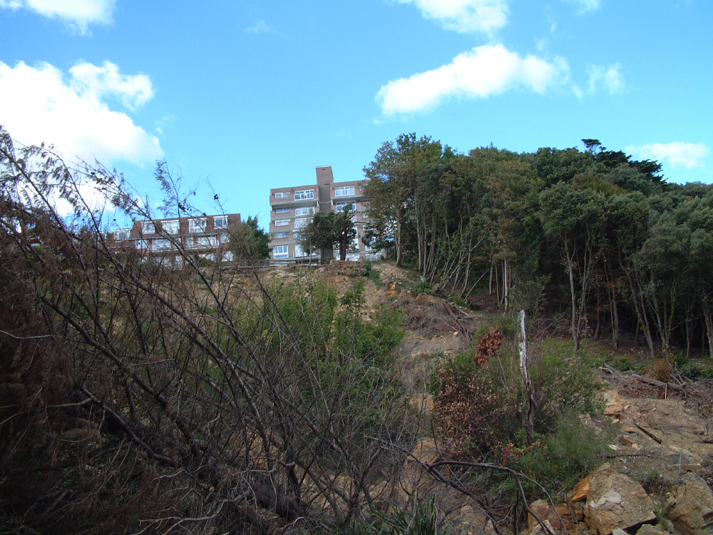 The landslide is threatening to destroy a large block of flats that are situated at the top of the cliff