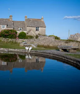 Village pond at Worth Matravers